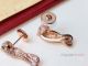 Fashion Cartier Leopard Earring with Diamond - AAA Replica (3)_th.jpg